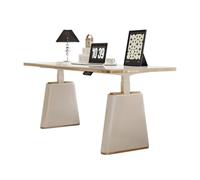 ZIGUIhsou-11 Escritorio de Trabajo Escritorio eléctrico de pie, con Memoria Ajustable en 4 Alturas, Ideal for Trabajar casa o la Oficina, Moderno Escritorio Pizarra(M)