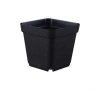 Zilimontt Maceta cuadrada de plástico negra con agujeros de drenaje, apilable, para uso en interiores y exteriores, 10 x 8 x 7 cm, paquete de 60 (10 lados rectos