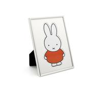 Zilverstad - Marco Miffy pp 15x20 lacado plateado