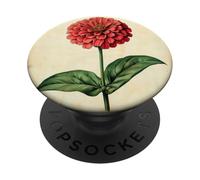 Zinnia Floral Vintage Ilustración Científica Flor PopSockets PopGrip Adhesivo