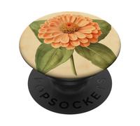 Zinnia Floral Vintage Ilustración Científica Flor PopSockets PopGrip Adhesivo