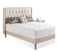 Zinus Colchón de 180 x 200 cm, Altura del colchón 25 cm, colchón Firme de Espuma viscoelástica y muelles ensacados, colchón híbrido