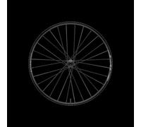 Zipp