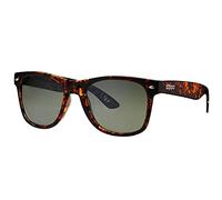Zippo Frame Gafas, Unisex Adulto, Demi, Medium