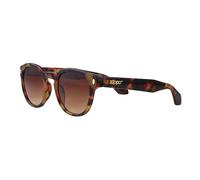 Zippo Gafas de sol hombre y mujer - Diseño clásico - Protección UV400 - Policarbonato