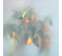 µ-Ziq & Mrs Jynx - Secret Garden [Vinilo]