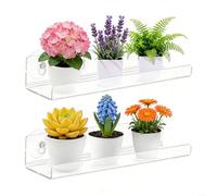 ZiStarlilife Estantes acrílicos para plantas de ventana, paquete de 2 unidades, 12 pulgadas, transparentes con ventosas para vidrio o azulejos, exhibición que ahorra espacio para hierbas de interior y