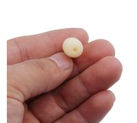 ZiStarlilife Micrófono de doble gancho para la oreja de grado profesional con conexión Mini XLR estándar