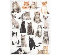 Zita´s Creative Papel de arroz A4 - Retratos de gato de seda de paja, papel de seda de paja, papel de decoupage