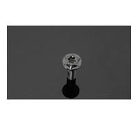 Zixinz-Pernos Hexagonal Perno de soporte trasero for disco de freno de titanio M8x20-25 mm Gr5 Resistencia a la corrosión(Black 1 PC,M8x25 mm)