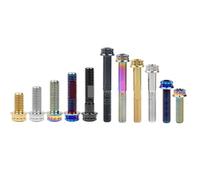 Zixinz-Pernos Hexagonal Perno de titanio 10 piezas Perno M10 X 20~70 mm T50 Torx Paso 1.25 Brida Tornillo de 12 puntas for Auto Motocicleta, Resistencia a la corrosión(Bronze,60mm)