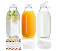 Ziyonix 3 Botellas de Agua Cristal, 1L Botellas de Cristal con 2 Picos Vertedores Botellas de Leche de Vidrio Reutilizable Botellas de Nevera para Agua Leche Zumo Limonada