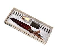 ZJchao Feather Pen Set, Feather Pen Set Vintage Creativity Tink Talling Writing Calligraphy Calligraphy para Amante de la Clase de Maestro (WINE RED)