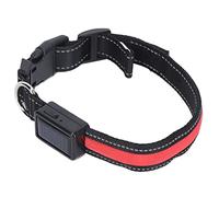 ZJchao Light Up Dog Collar, USB Recargable LED Collar Swlew in The Dark Dog Ajustable de Seguridad Light Up para Acampar Nocturno para Caminar (L)