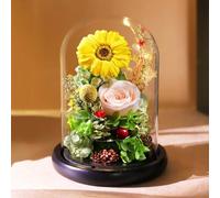 ZJYIGOWL Flores Preservadas Cúpula De Cristal Girasol Eterno En Cristal Girasol De Larga Duración para Mamá, Abuela, Esposa O Amiga, Regalo para Cumpleaños O El Día De La Madre(D)