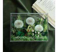 ZJYIGOWL Flores Preservadas para El Día De La Madre, para Mamá, Esposa, Abuela O Novia, Rosa Eterna Natural Mixta Hecha A Mano En Una Campana De Cristal, para Cumpleaños(Groen)