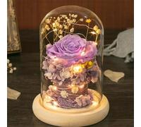 ZJYIGOWL Regalos De San Valentín con Flores Preservadas para Ella Tu Madre, Esposa, Abuela O Novia Rosas Preservadas En Una Campana De Cristal para Navidad, Cumpleaños Y Aniversarios(Purple)