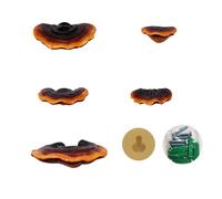 Zjythocyber Estanterías de Pared de Hongos Reishi de simulación, estanterías flotantes Artificiales de Resina para decoración de Jardines y Patios al Aire Libre, Mini estantería Colgante de ho