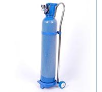 zktoermn Carrito para Tanques De Oxígeno, Carrito con Ruedas para Cilindros De Oxígeno De 10, 15 Y 20 litros, Estante para Almacenamiento De Nitrógeno En El Hogar(17x80cm)