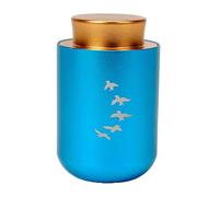 Zkydhbd Ataúd de urna para cenizas de mascotas, brazalete de cremación, suministros de regalo para joyas conmemorativas, accesorios de joyería conmemorativa, caja conmemorativa de cenizas de acero