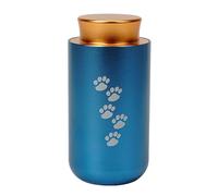 Zkydhbd Ataúd de urna para cenizas de mascotas, brazalete de cremación, suministros de regalo para joyas conmemorativas, accesorios de joyería conmemorativa, caja conmemorativa de cenizas de acero