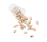 Zkydhbd Conchas de caracolas naturales, suministros de arte, colección de manualidades para decoración del hogar y proyectos creativos, componentes de joyería de conchas marinas, talla única, como se