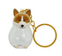 Zkydhbd Llavero transparente para coleccionista de pieles de mascotas, llavero seguro para guardar el pelo de perro, colgante para dueños de mascotas en duelo