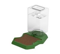 Zkydhbd Reptiles Hydrations - Alimentador automático de agua, diseño antiahogamiento, para lagartos, tortugas, dragones barbudos, accesorios de alimentación