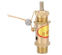 ZLXCAOB Válvula de presión de liberación de seguridad para compresor de aire G1/4 para generador de vapor de caldera (2 kg)