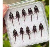 ZMdooreasy Señuelo suave para pesca de lubina en renacuajo con diseño biomimético, acción flotante e integración de gancho seguro (10 grandes)