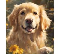 ZMHZMY Da rienda suelta a tu creatividad y pinta un lindo Golden Retriever con este kit de pintura al óleo fácil para principiantes y amantes de los perros, 40 x 50 cm, sin marco