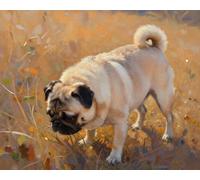 ZMHZMY Kits de pintura por números para adultos, Pug, kits de pintura por números sobre lienzo, pinturas al óleo para adultos principiantes, artes y manualidades, 40 x 50 cm, sin marco