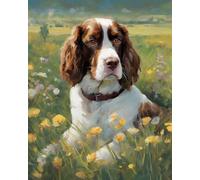 ZMHZMY Kits de pintura por números para adultos, Springer Spaniel Dog, kits de pintura por números en lienzo, pinturas al óleo para principiantes, artes y manualidades, 40 x 50 cm, sin marco