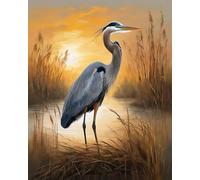 ZMHZMY Pintura por números para adultos, gran garza azul, puesta de sol, cañas, pintura al óleo con pinceles, decoración, regalos, 40 x 50 cm, sin marco