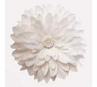 ZNKZJ Espejo Colgante de Pared con Pluma, decoración de Espejo de Pared de Macrame Redondo Redondo Hecho a Mano de Boho para el Pasillo del Dormitorio de la Sala, White_40cm