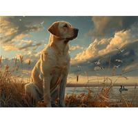 Znnhtyj Perro 5D DIY Kit de Pintura Diamante, Labrador Punto de Cruz Artes Pintura, Mosaicos Dibujo de Diamantes,Diamante Rhinestone Bordado para Niños y Adultos, Decoración de Pared 30x40cm