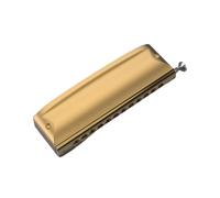 ZOAPDEBCE Armónica diatónica para niños y adultos, Student Harmonica Durable Silver Gold Professional Harmonica 12 Hole Chromatic Harmonica harmonica Beginners(Gold C)