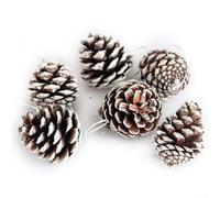 Zoegneer 6 pièces 5CM bricolage de noël Petites Pommes de Pin artisanat de noël Articles décoratifs Bord Blanc pendentif en noix de Pin