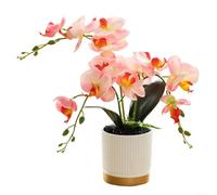 Zoegneer Hermoso bonsái Phalaenopsis con orquídea artificial, 13 pulgadas de altura, suelo simulado, macetas con borde de oro , sin necesidad de cuidado (rosa)