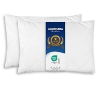 ZOLLNER Juego de 2 Cojines - Fabricados en Europa - Relleno de poliéster - Funda de Tejido Mixto - Lavables a 95 °C - 30 x 40 cm - Calidad hotelera - Certificados Oeko Tex®