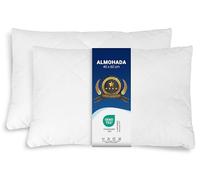 ZOLLNER Juego de 2 Cojines - Fabricados en Europa - Relleno de poliéster - Funda de Tejido Mixto - Lavables a 95 °C - 40 x 60 cm - Calidad hotelera - Certificados Oeko Tex®