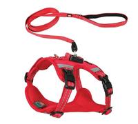 Zolux - Arnés de clip y Go para perro con correa de 2 m, talla S, color rojo, 8 - 16 kg, cierre magnético ultra rápido y seguro, bandas reflectantes, hebillas laterales - tejido transpirable