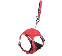 Zolux Easy Ride Arnés para perro con correa de enrollador integrada, talla S, rojo, transpirable, reflectante, ajustable, circunferencia de pecho 41-54 cm, 164 g