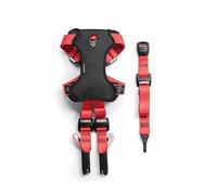 Arnés para perros ZOLUX TRAVEL SAFE M rojo