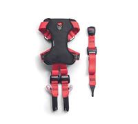 Zolux Travel Safe Arnés de seguridad para perros M - Rojo - Perros 8-25 kg - Ajustable - ISOFIX + Top Tether - Crash-Testad - Ajustable 5 puntos - Lavable a 30 °C - Marca francesa