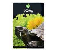 ZOMA Mezcla de semillas para tortugas de tierra, 6 hierbas con diente de león, trébol y lechuga, nutrición óptima para tortugas de tierra (1 bolsa de 15 g)