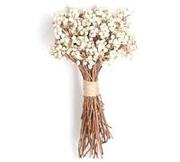 Zonster 20 Unids/Set Bolas Algodón Natural Plantas Flores Secas Secas Real Fruta Bunch Fiesta Flores Decorativas DIY Decoración Boda