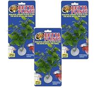 Zoo Med Laboratorios AZMBP20 Planta Betta Philo