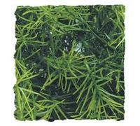Zoo Med Planta Ariticial Casuarina para terrarios