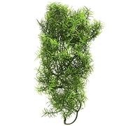 Zoo Med Planta PLASTICO CASHUARINA Mediana Planta para Acuario O TERRARIO